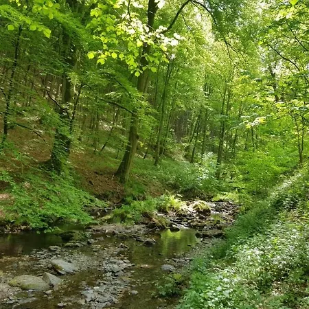 Сasa de vacaciones With 1 Bedroom