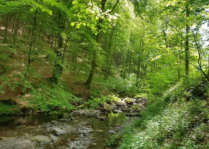 Tatil Evi With 1 Bedroom